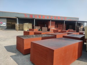 新疆建筑模板
